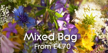 Mixed Bags