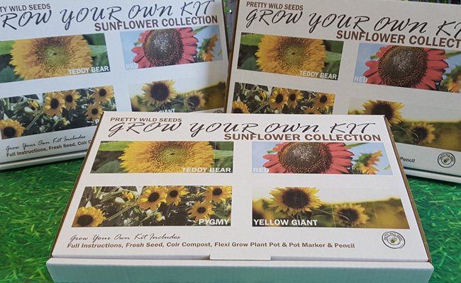 Pretty Wild Seeds