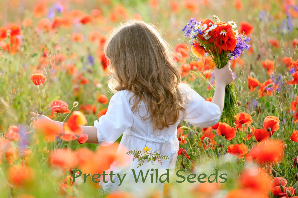 Pretty Wild Seeds