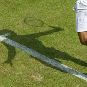 Sports Grass Seed for Cricket Square or Tennis Court Premium Quality (Summer Sport)