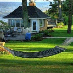 Slow Grow Lazy Lawn Drought Tolerant Grass Seed