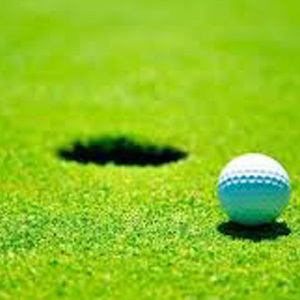 Golf Putting & Bowling Green (Low Cutting) Grass Seed