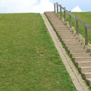 Embankment Grass Seed