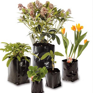 04 Litre Poly Pots