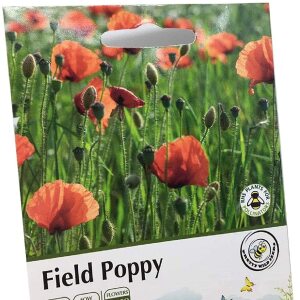 Common Field Poppy Annual Seeds Wild Flower