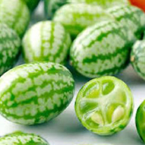 Cucamelon Seeds