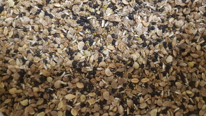 Mix 64 Bright Floral Pure Cornfield & Wildflower Seed Mix