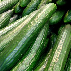 Cucumber 'Pepinex' F1 Seeds