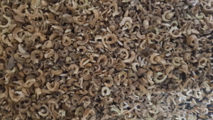 Mix 5 Pure Annual & Perennial Mix