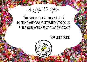 Gift Voucher