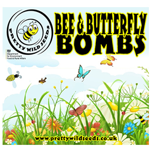 Bee & Butterfly Seed Bombs Boxed