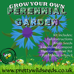 Grow Your Own Perennial Garden Kit
