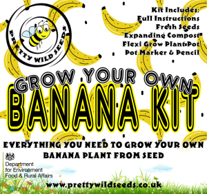 Grow Your Own Banana Kit