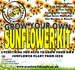 Grow Your Own Sunflower Kit
