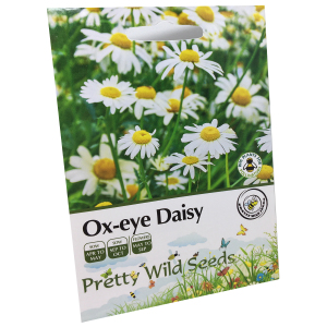 Ox-Eye Daisy Seeds In Pictorial Packets 600 Seeds