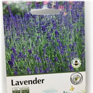 Lavender Seeds In Pictorial Packets