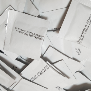 Ox-Eye Daisy Seeds in Foil Sachets 200 Seeds