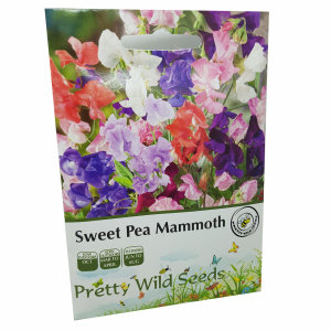 Sweet Pea Mammoth Seeds In Pictorial Packets