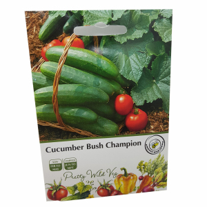 Cucumber Bush Champion in Pictorial Packet