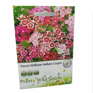 Sweet William Indian Carpet Seeds in Pictorial Packet