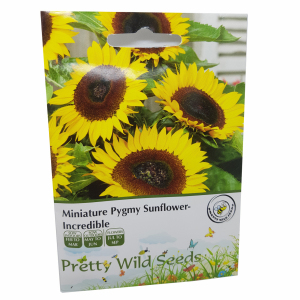Miniature Pygmy Sunflower Incredible Seeds in Pictorial Packet