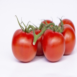 Crimson Crush F1 Tomato Blight Resistant Large Tomato