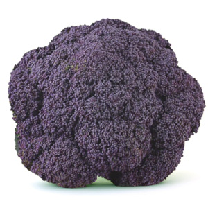 Broccoli Purple Early Seeds