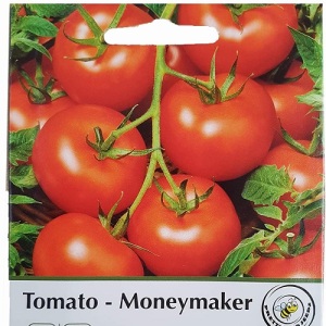 Tomato Moneymaker Seeds Pictorial