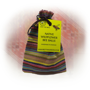 BeeBalls in Hippy Boho Green Stripe Cotton Pouch