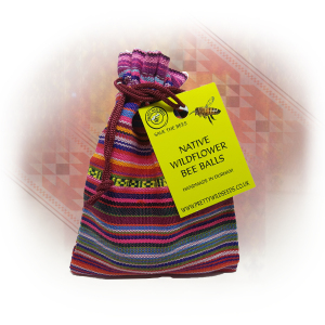 BeeBalls in Hippy Boho Big Stripe Design Cotton Pouch