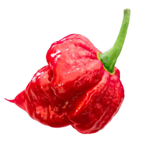 Trinidad Scorpion Chilli Pepper Seeds