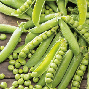 Kelvedon Wonder Peas Pea Seeds