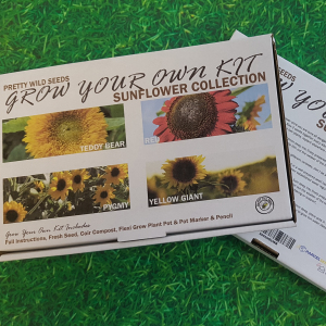 Grow Your Own Kit Sunflower Collection