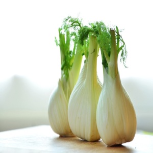 Fennel Florence Sachets Wholesale Herb Seeds