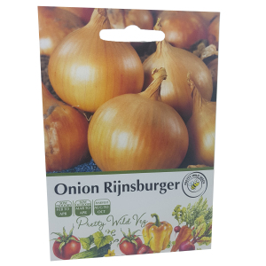 Onion Rijnsburger Seeds in Pictorial Packet