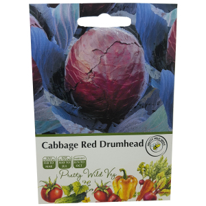 Cabbage Red Drumhead Seeds in Pictorial Packet