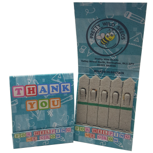 Thank You Teacher SeedSticks Blocks with Wild Flowers