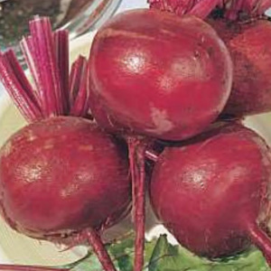 Organic Beetroot 'Detroit Globe 80 Seeds