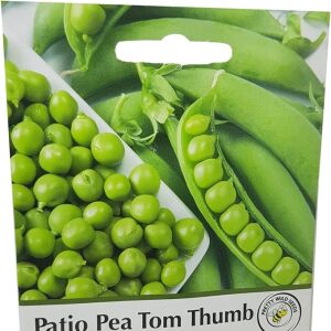 Patio Pea Tom Thumb Seeds in Pictorial Packet