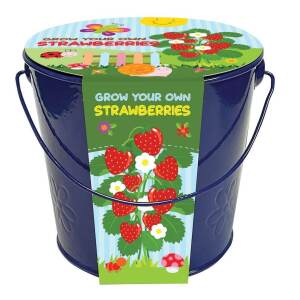 Grow Your Own Strawberries Growing Kit