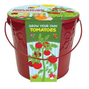 Grow Your Own Tomatoes Growing Kit