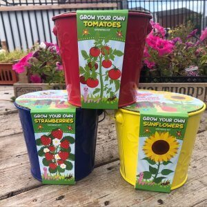 Grow Your Own Growing Kit Multi Pack