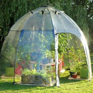 The Haxnicks Garden Sunbubble Standard Greenhouse