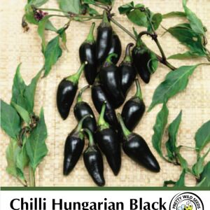 Pictorial Chilli Hungarian Black