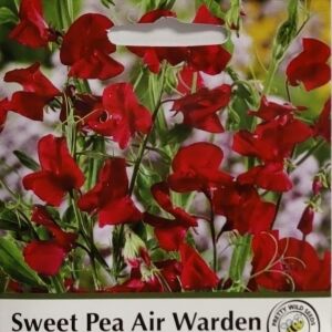 Sweet Pea Air Warden Seeds in Pictorial Packet- Packed in The UK - 25 Seeds