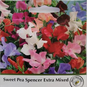 Sweet Pea Spencer Extra Mixed in Pictorial Packet- 30 Seeds