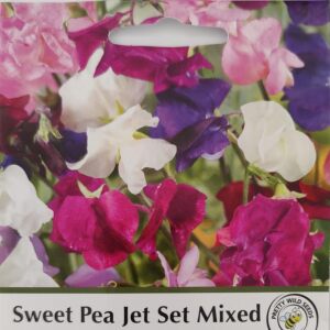 Sweet Pea Jet Set Mixed in Pictorial Packet- 20 Seeds Sweet peas