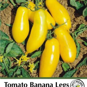 Tomato Banana Legs Seeds in Pictorial Packet