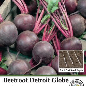 Beetroot Detroit Globe Seed Tape in Pictorial Packet - 5m