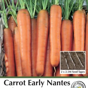 Carrot Early Nantes Seed Tape in Pictorial Packet - 5m